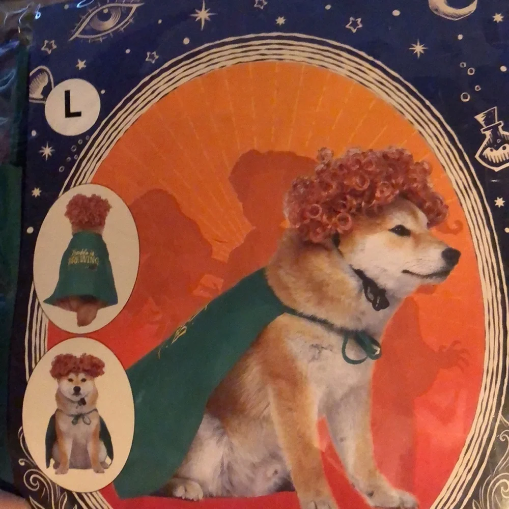 NWT Winifred Halloween Dog Costume